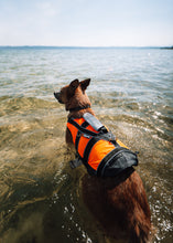 Load image into Gallery viewer, Safe Life Dog Jacket 2.0