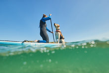 Load image into Gallery viewer, Safe Life Dog Jacket 2.0