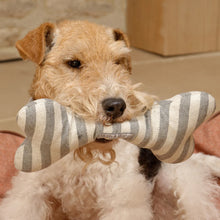 Load image into Gallery viewer, Flint Stripe Squeaky Bone Dog Toy