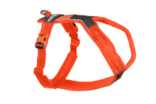 Load image into Gallery viewer, Line Dog Harness 5.0