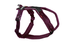 Load image into Gallery viewer, Line Dog Harness 5.0