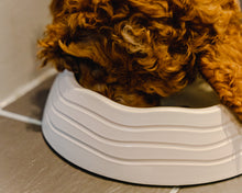 Load image into Gallery viewer, Eco Pet Bowls