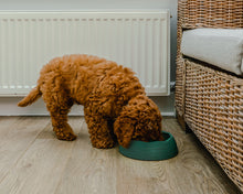 Load image into Gallery viewer, Eco Pet Bowls