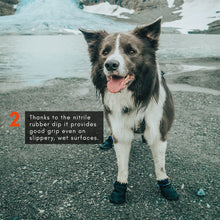 Load image into Gallery viewer, Protector Dog Booties