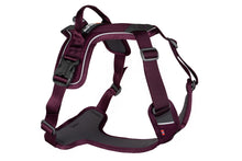 Load image into Gallery viewer, Ramble Dog Harness