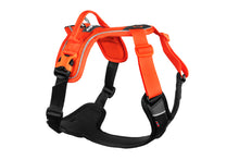Load image into Gallery viewer, Ramble Dog Harness