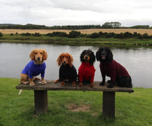 Load image into Gallery viewer, Dog Jumper
