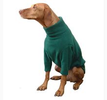 Load image into Gallery viewer, Dog Jumper