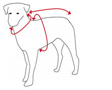 Load image into Gallery viewer, Dog Jumper