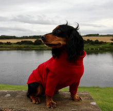 Load image into Gallery viewer, Dog Jumper