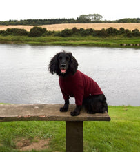 Load image into Gallery viewer, Dog Jumper