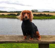 Load image into Gallery viewer, Dog Jumper