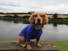 Load image into Gallery viewer, Dog Jumper