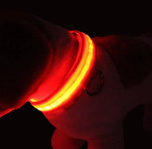 Load image into Gallery viewer, Light'Em Dog Collar