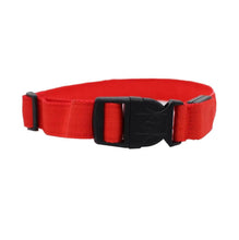 Load image into Gallery viewer, Light'Em Dog Collar