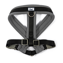 Load image into Gallery viewer, Viva Padded Harness