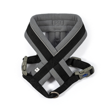 Load image into Gallery viewer, Viva Padded Harness