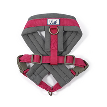 Load image into Gallery viewer, Viva Padded Harness