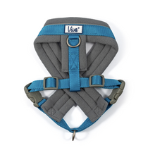 Load image into Gallery viewer, Viva Padded Harness