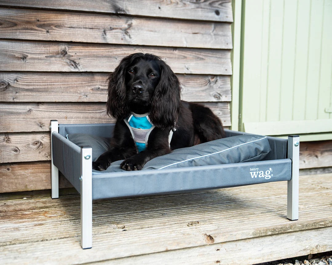 Henry wag sale elevated dog bed