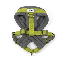 Load image into Gallery viewer, Viva Padded Harness