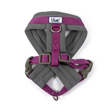 Load image into Gallery viewer, Viva Padded Harness