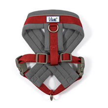 Load image into Gallery viewer, Viva Padded Harness