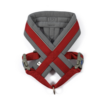 Load image into Gallery viewer, Viva Padded Harness