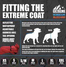 Load image into Gallery viewer, Extreme Monsoon Dog Coat