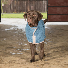 Load image into Gallery viewer, Classic Dog Drying Coat (fabric trim)