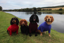 Load image into Gallery viewer, Dog Jumper