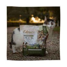 Load image into Gallery viewer, Feline Feast Duck &amp; Sardine 1.5KG
