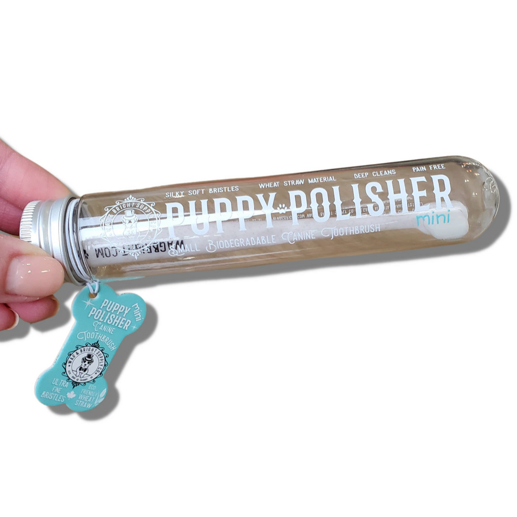 Puppy Polisher Mini Toothbrush