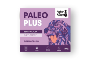 Paleo Plus Berry Good (300g)