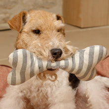 Load image into Gallery viewer, Flint Stripe Squeaky Bone Dog Toy
