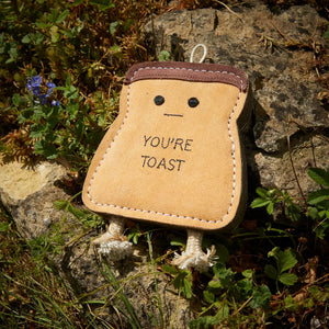 You’re Toast (Eco Toy)