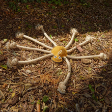 Load image into Gallery viewer, Lily Longlegs, Eco Toy
