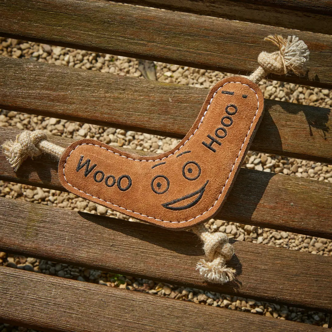 Benny the Boomerang (Eco Toy)