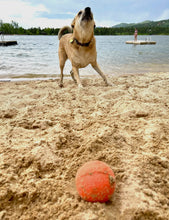 Load image into Gallery viewer, Smile Durable Chew &amp; Retrieving Ball
