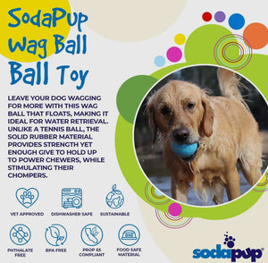 Wag Durable Chew & Retrieving Ball