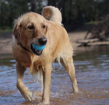 Load image into Gallery viewer, Wag Durable Chew &amp; Retrieving Ball
