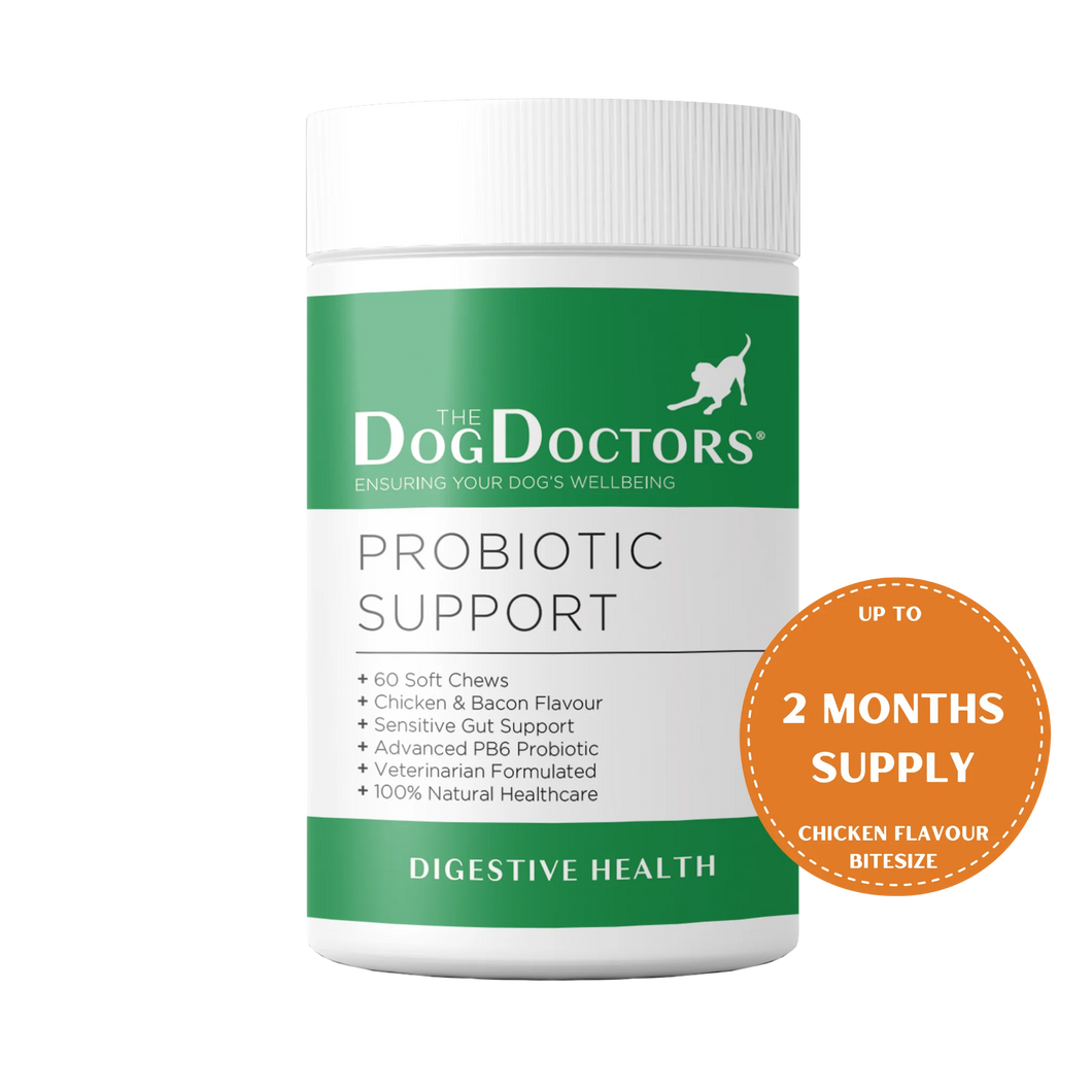 Probiotic Support - Digestive Health