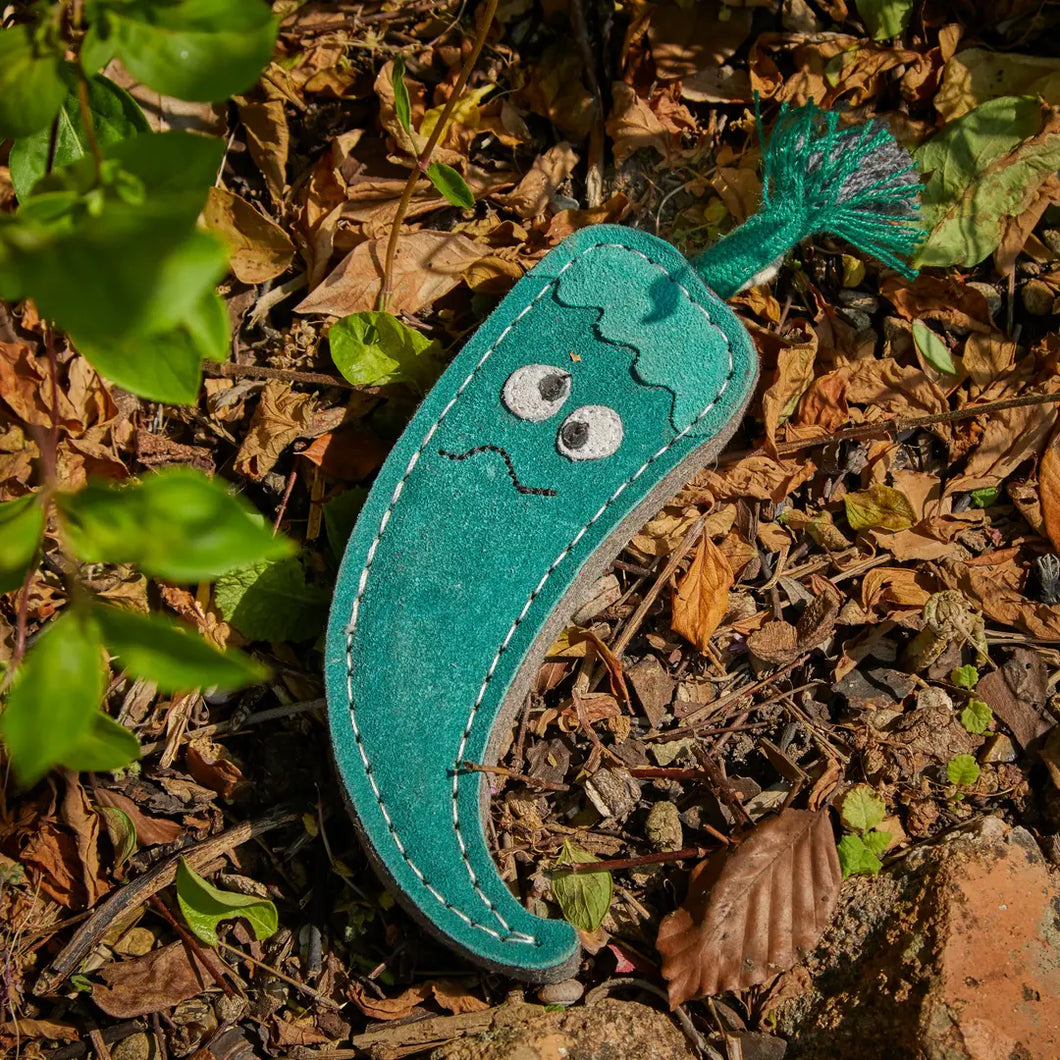 Juan the Jalapeño (Eco Toy)