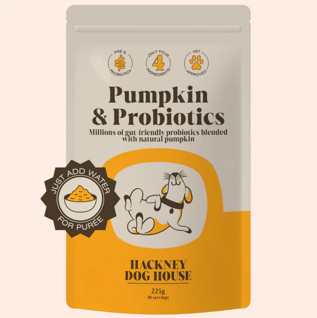 Pumpkin & Probiotics: Ultimate Digestive Support for Dogs