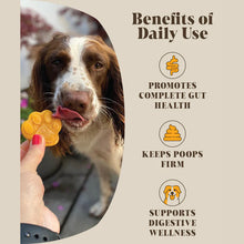 Load image into Gallery viewer, Pumpkin &amp; Probiotics: Ultimate Digestive Support for Dogs
