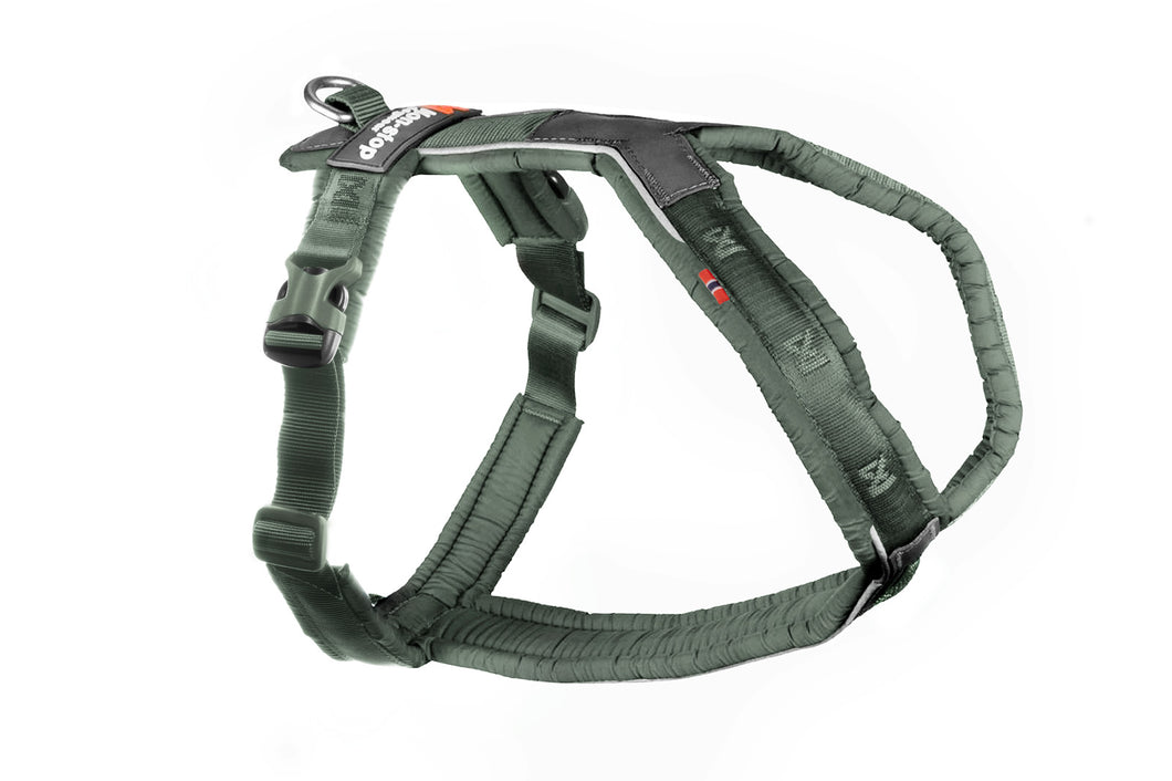 Line Dog Harness 5.0