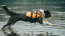 Load image into Gallery viewer, Safe Life Dog Jacket 2.0
