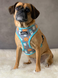 Pawsome Paws ‘Milk & Cookies’ duo harness!