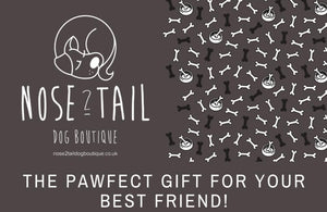 Nose 2 Tail Dog Boutique Gift Card (£100)
