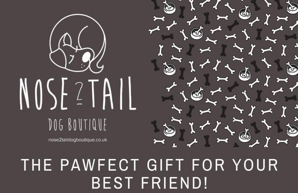 Nose 2 Tail Dog Boutique Gift Card (£10)